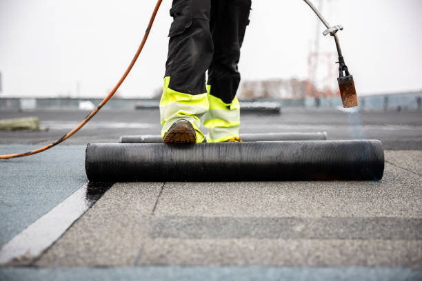 Best Roof Moss and Algae Removal  in Valley Green, PA